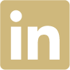 LinkedIn Icon